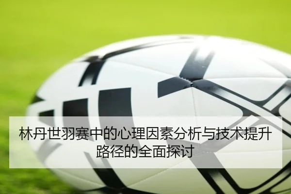 林丹世羽赛中的心理因素分析与技术提升路径的全面探讨