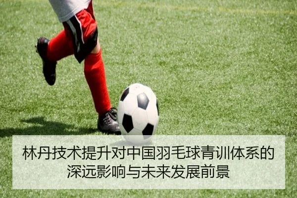 林丹技术提升对中国羽毛球青训体系的深远影响与未来发展前景